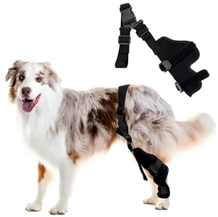 Rodillera Ajustable para Perros – Soporte Articular y Férula de Recuperación de Lesiones