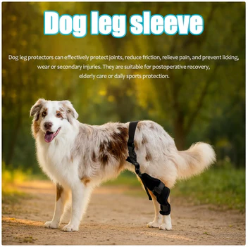 Rodillera Ajustable para Perros – Soporte Articular y Férula de Recuperación de Lesiones