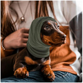 Capucha Calmante para Perros – Reducción de Ruido y Alivio de Ansiedad