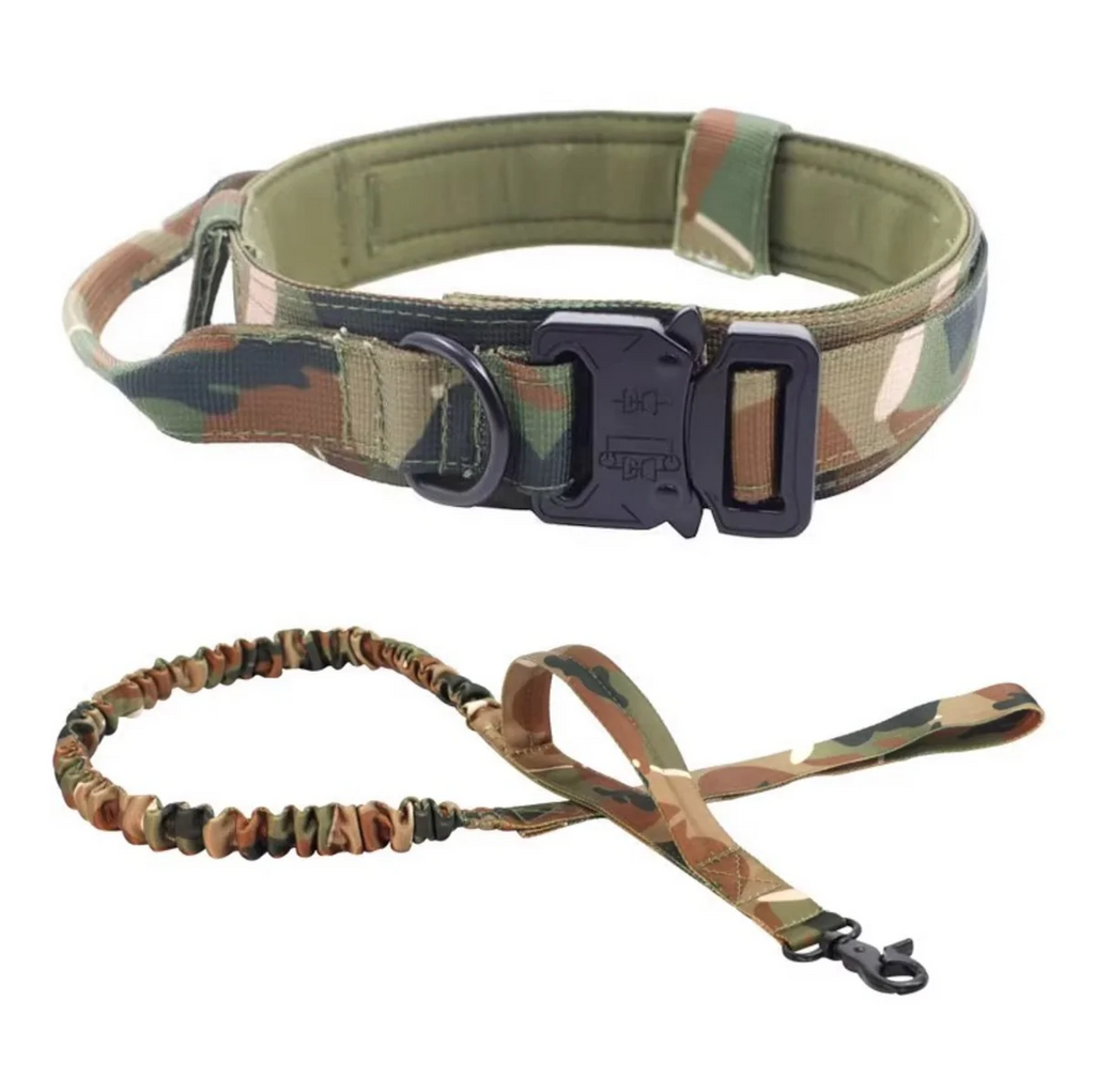 Collar para Perro 2 en 1 con Correa Retráctil