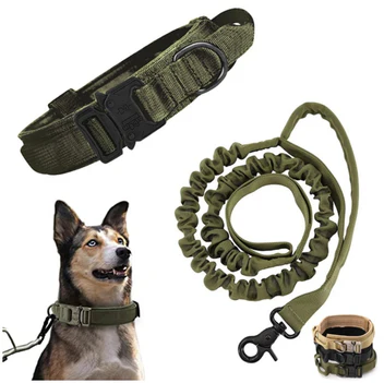 Collar para Perro 2 en 1 con Correa Retráctil